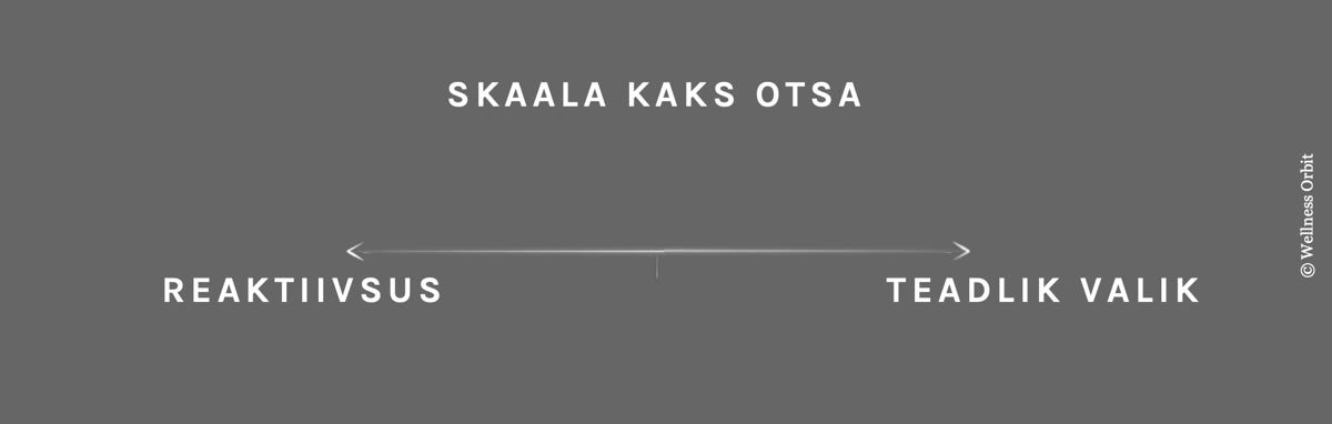Seesmine alateadlik taas-aktiveerumine varasemate alateadlike kogemuste alusel vs vabadust andev teadlik valik